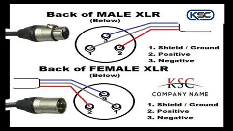 Xlr Wiring Diagram 4 Wire